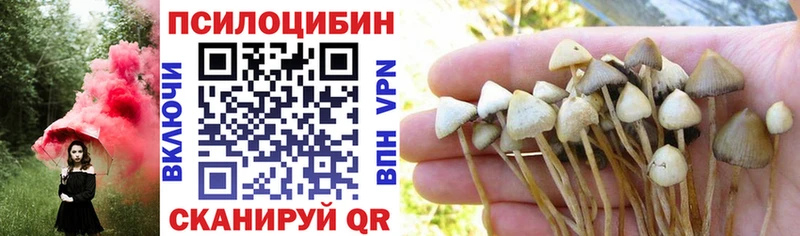 маркетплейс как зайти закладки Семикаракорск Псилоцибиновые грибы мицелий ОМГ ОМГ зеркало
